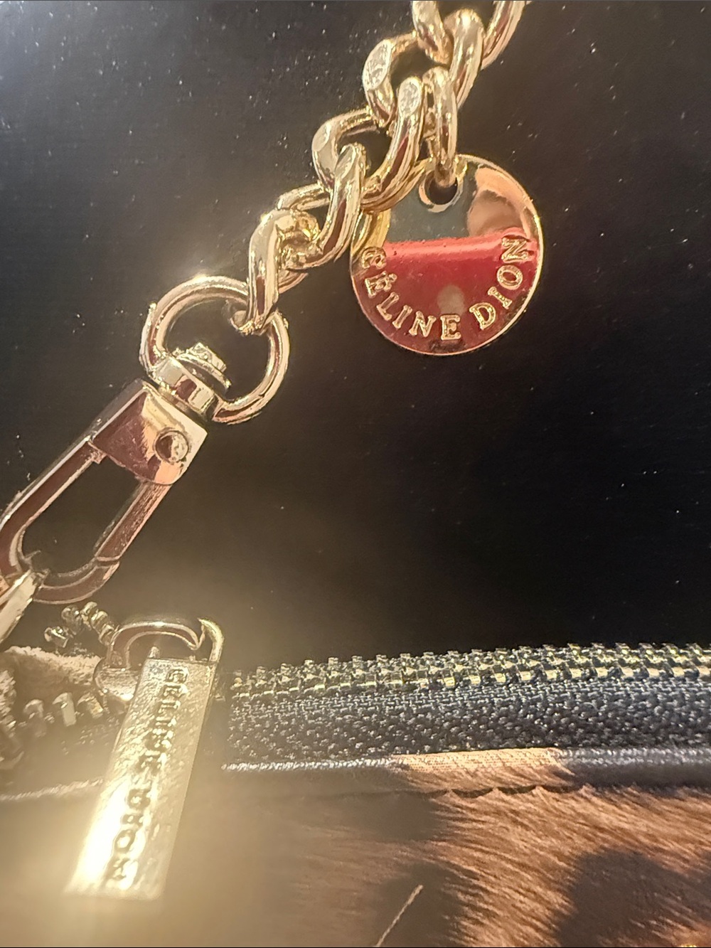 Buy 2 for 20$ ✌🏻Celine Dion Leopard Print Change Purse with Gold Chain - Picture 3 of 6